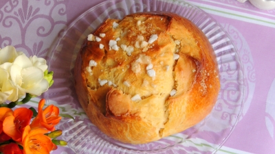 Pinca sirnica (6)b