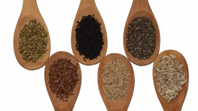 Seeds