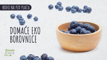 Domaće EKO borovnice