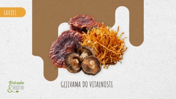 Vrijeme je za gljive
