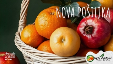 Nova pošiljka mandarina, limuna i nara