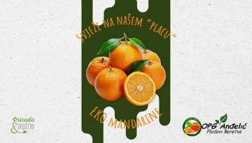 Svježe EKO mandarine