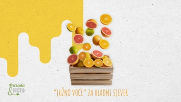 Doza vitamina