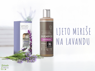Opojni miris lavande