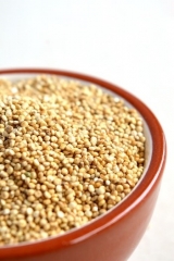 Quinoa - Kvinoja