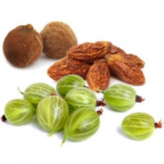 Triphala prah – Ayurvedska biljna formulacija protiv zatvora Triphala prah – Ayurvedska biljna formulacija protiv zatvora