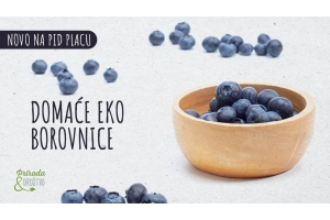 Domaće EKO borovnice