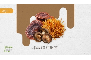 Vrijeme je za gljive