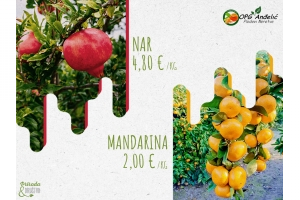 Svježi nar i mandarine