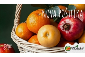 Nova pošiljka mandarina, limuna i nara