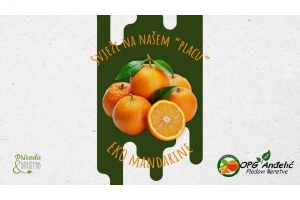 Svježe EKO mandarine