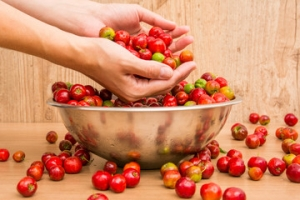 Trešnja sa Barbadosa, acerola