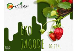 Stigle su nam jagode
