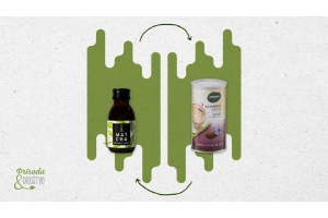 Matcha ili cikorija?
