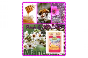 Manuka ili drvo manuke