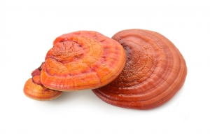 Poboljšajte si imunitet uz pomoć Reishi gljiva