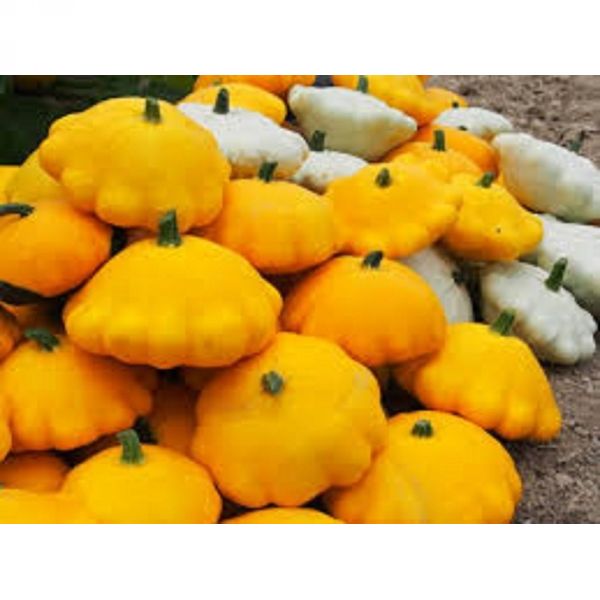 Prodaja EKOPATIŠON, 1 kg po povoljnoj cijeni